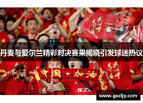 丹麦与爱尔兰精彩对决赛果揭晓引发球迷热议